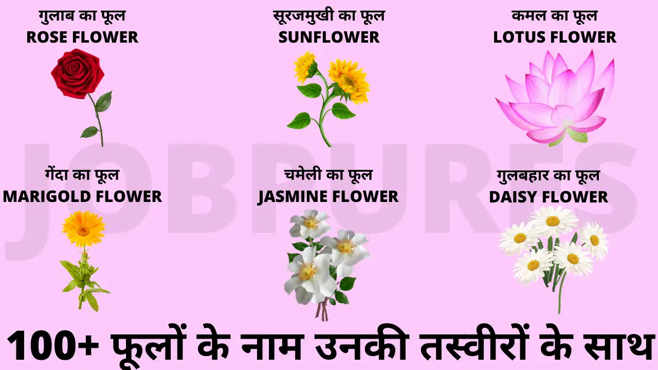 100+ फूलों के नाम हिंदी में