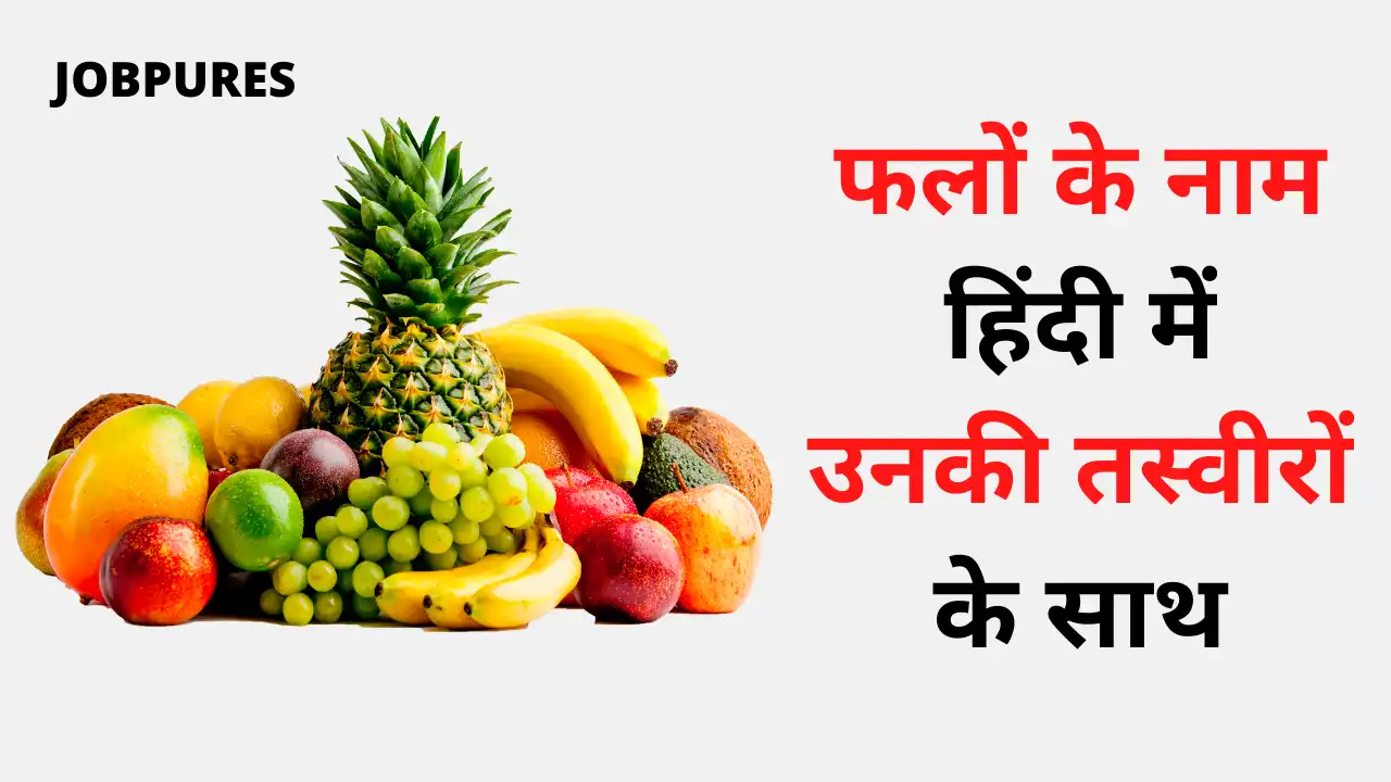 50 Fruits Name in Hindi With Pictures and Images | फलों के नाम हिंदी में उनकी तस्वीरों सहित