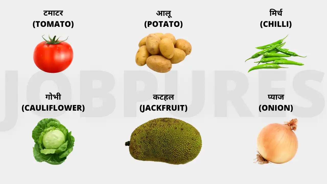100+ Vegetables Name in Hindi and English : सब्जियों के नाम हिंदी तथा अंग्रेजी भाषा में