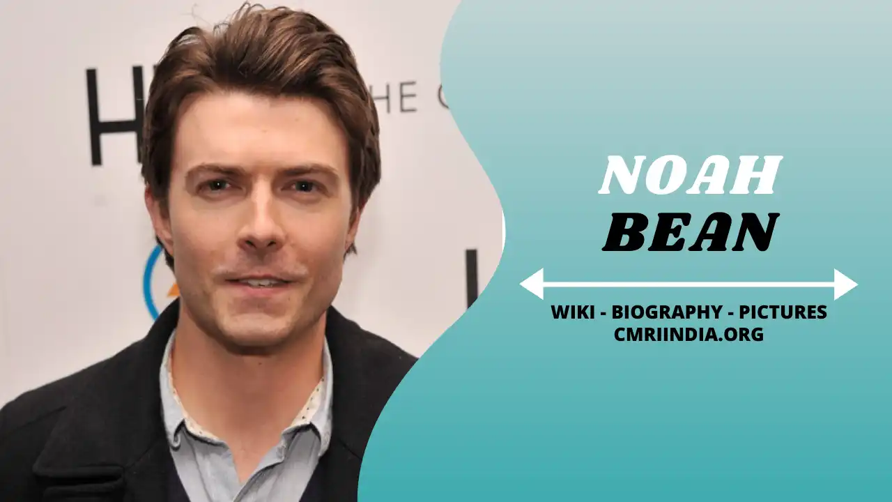 Noah Bean (Actor) Wiki & Biography